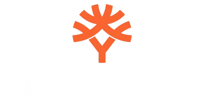 partners who work with YonoVIP